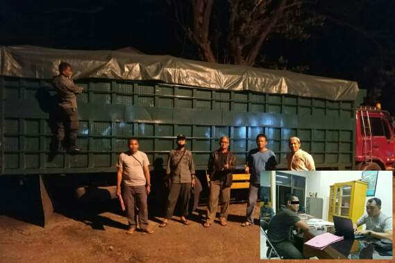 Penyidik Balai Gakkum Serahkan Tersangka Ilegal Logging dan Barang Bukti ke Jaksa Penuntut Umum